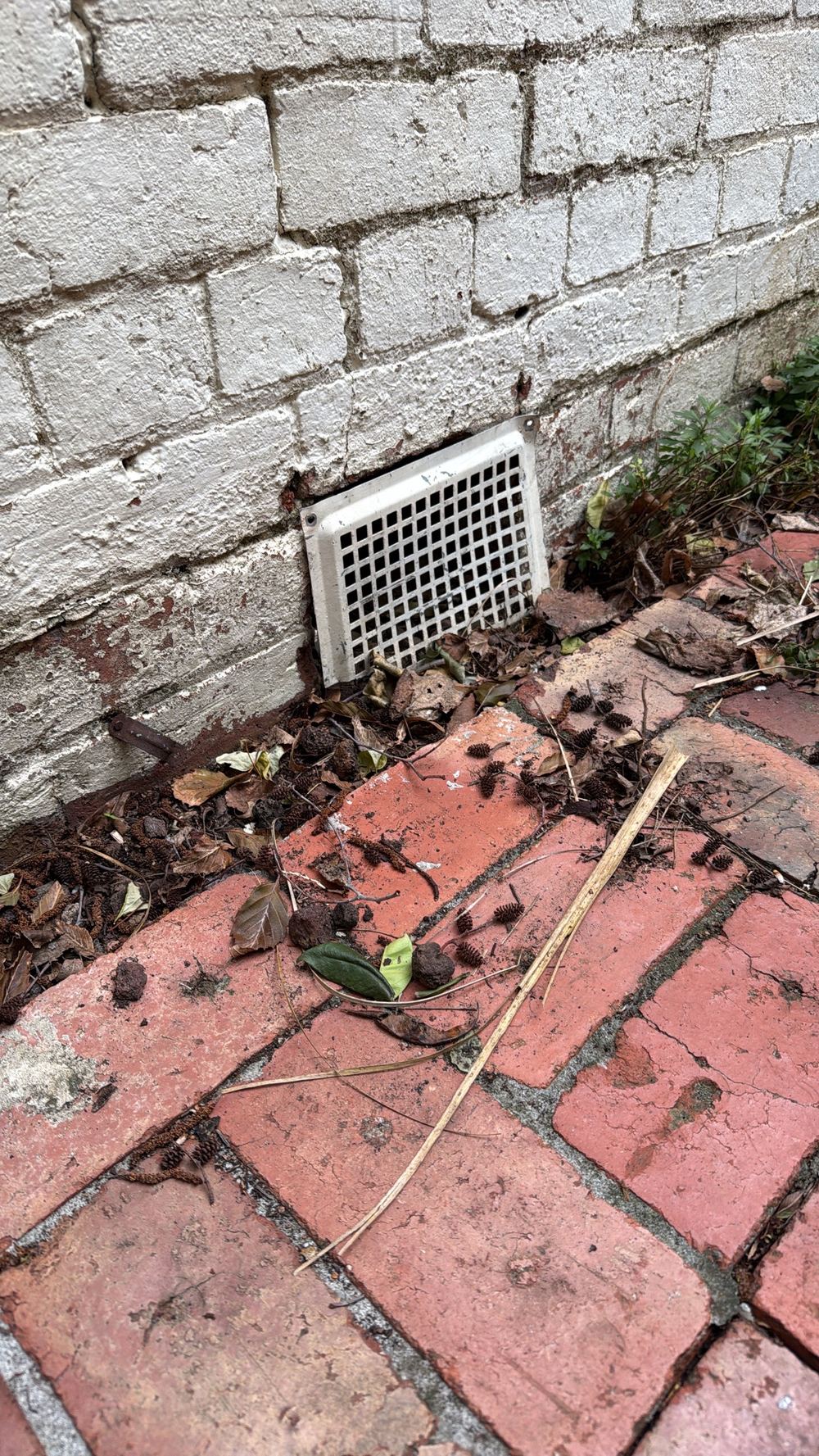 Conditions around the house that give termites food, water or shelter, found during a building and pest inspection in Hawthorn