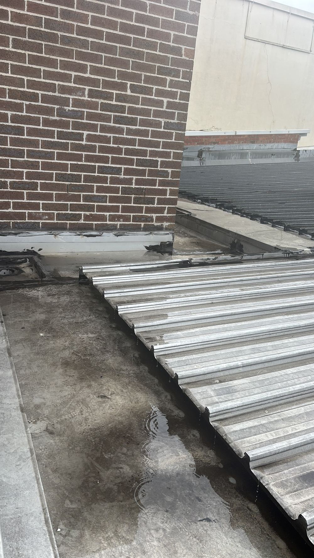 Gutter set outside the drip edge, so water runs onto the fascia, found during a defect investigation inspection in Richmond