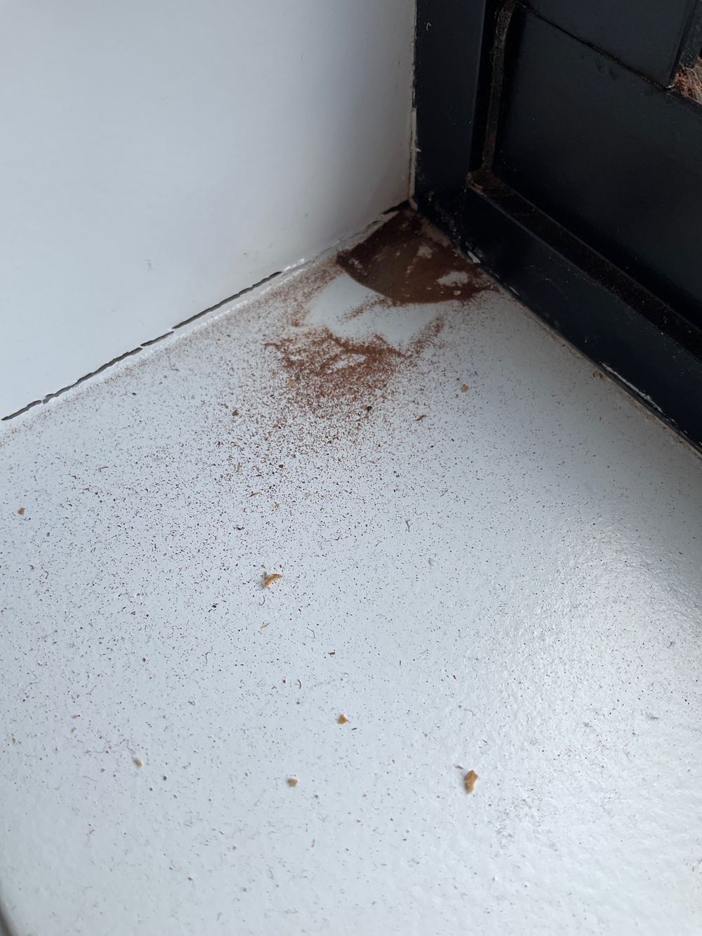 Mould Inspections in Strathtulloh