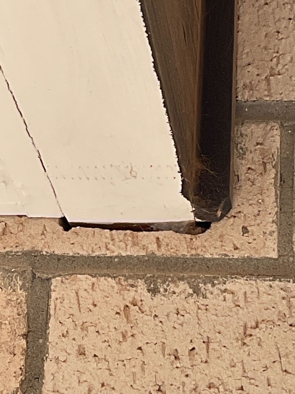 Pre-Sale Inspections in Strathtulloh